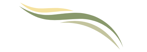 ""